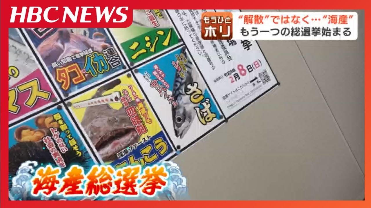 “解散”ではなく“海産”総選挙、今回もやります…4選目指すホタテに挑む新人「身を切る覚悟」のニシン、「時代をシメる」サバ、「高い知能で電撃結成」イカタコ連合、魚論調査も…北海道豊浦町