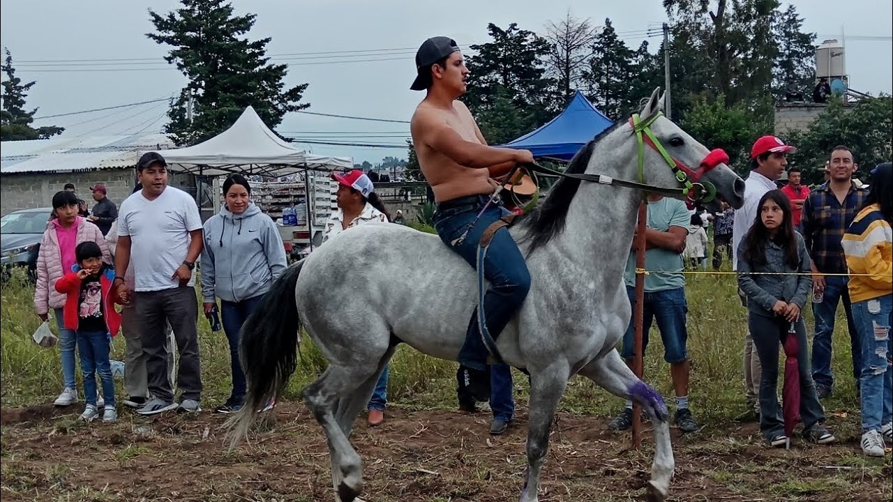 Carreras de caballos San Cayetano Morelos 🐎🍀🍁 10-08-2025