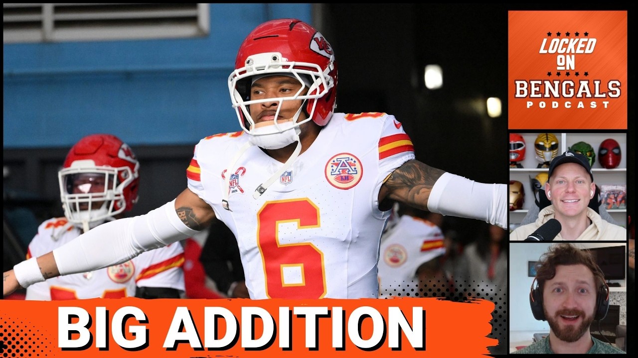 SAFETY UPGRADE! Bengals Signing Bryan Cook to Solidify Secondary