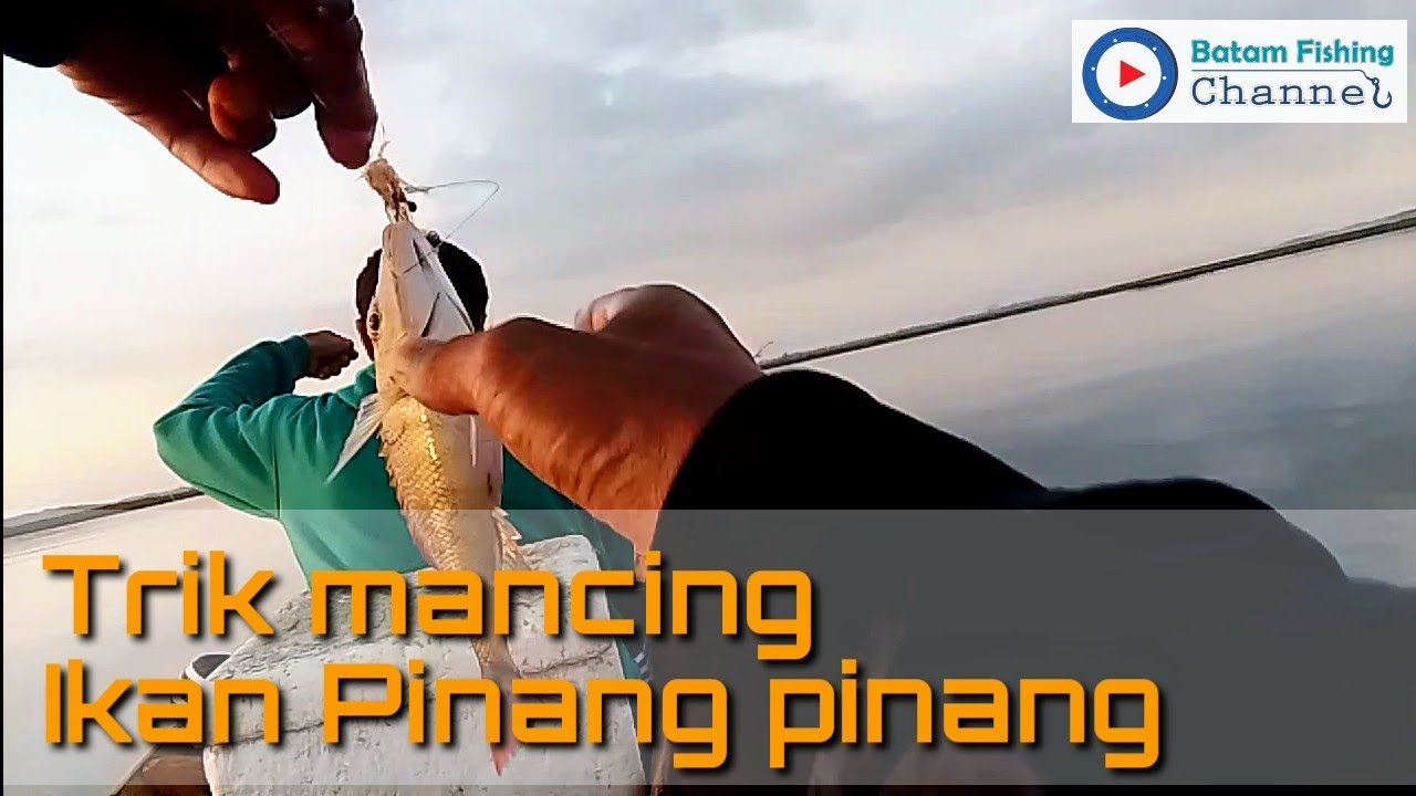 Trip mancing dari malam sampai pagi || Target ikan pinang pinang
