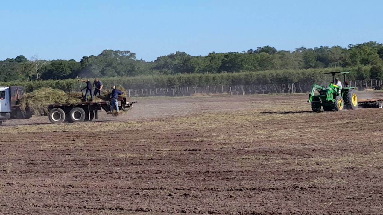 Planting Tifton 85 @ BrendaVista