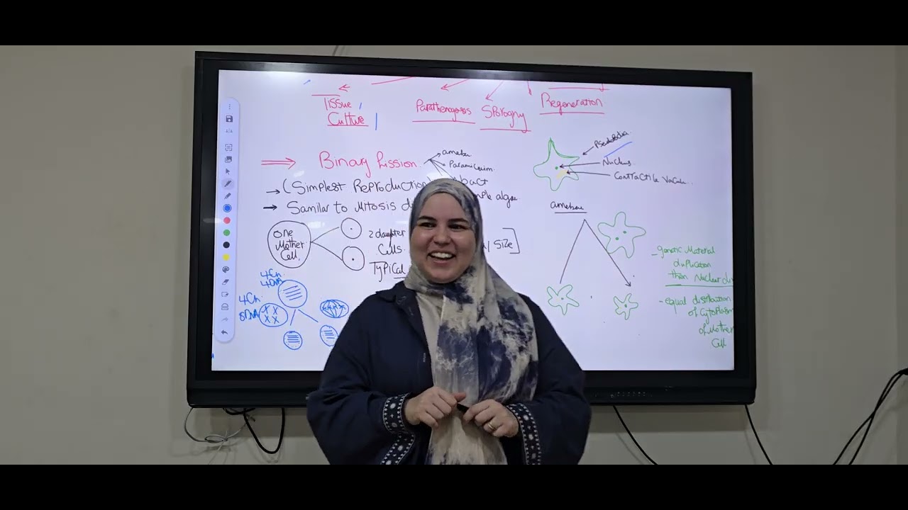 Asexual reproduction binary fission 3rd secondary 