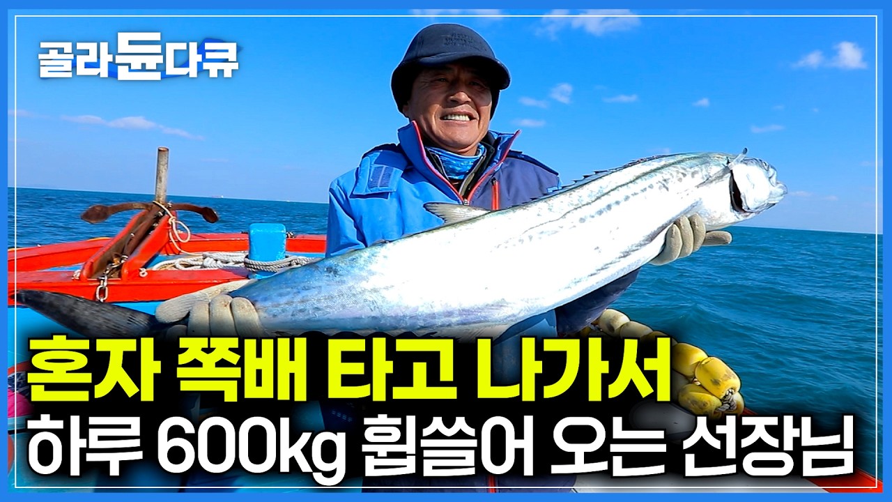 그물도 아니고 낚싯줄로 마리당 10만원 하는 삼치를 하루 600kg 쓸어오는 선장님｜이건 뭐 용왕님 본인 아닌가 싶은 수준, 전설이 된 삼치잡이 배｜한국기행｜#골라듄다큐