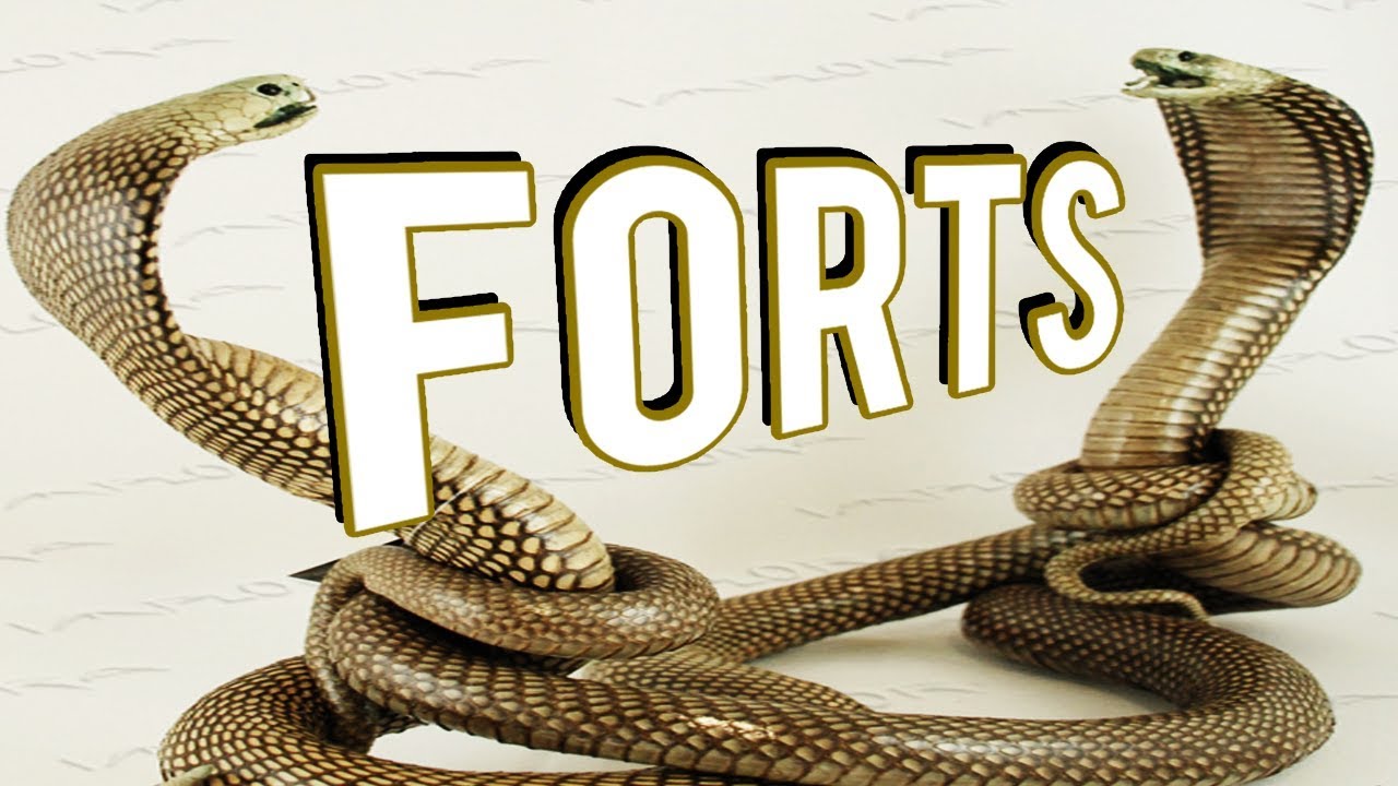 Dueling Vipers - Forts Multiplayer 4v4