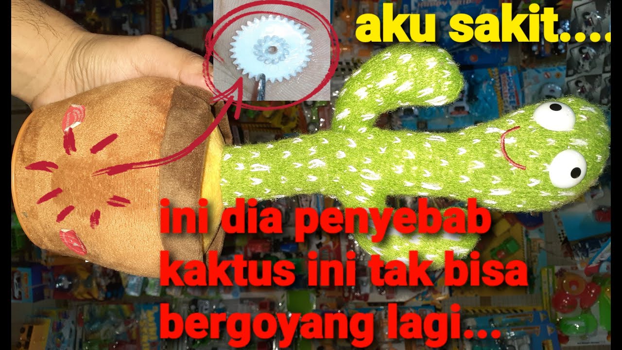 CARA PERBAIKI MAINAN DANCING CACTUS | BONEKA KAKTUS BERGOYANG YG RUSAK TIDAK BISA BERGOYANG