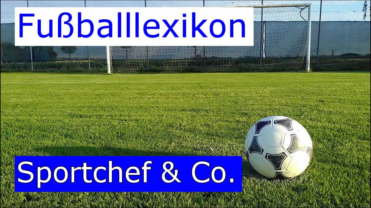 Sportchef & Co. im Fußballverein - Struktur der Fußballvereine