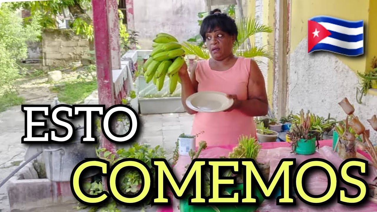Esto es lo que hay!! 🧄🥬Un día a día 😔disfrutando de una Comida 🍴Criolla bien sabrosa... 🧑‍🍳