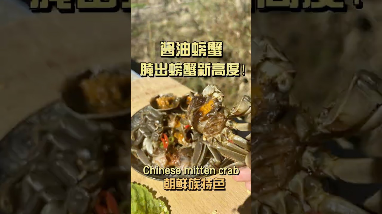40年大厨秘方！朝鲜族酱油螃蟹 蟹黄拌饭一口封神/ 40-YR Chef UNLOCKS Soy Crab! Rice-Demolishing Level!  #chinatour #美食 #螃蟹