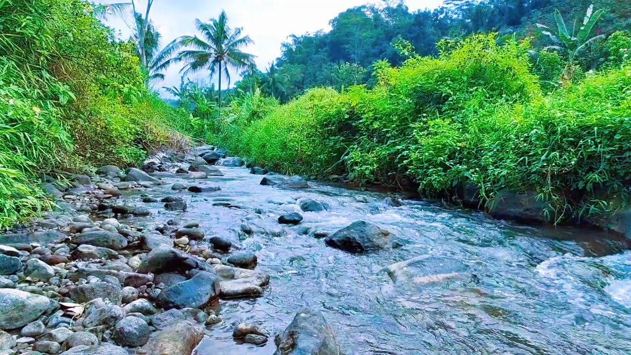 Gentle River Ambience for Stress Reduction