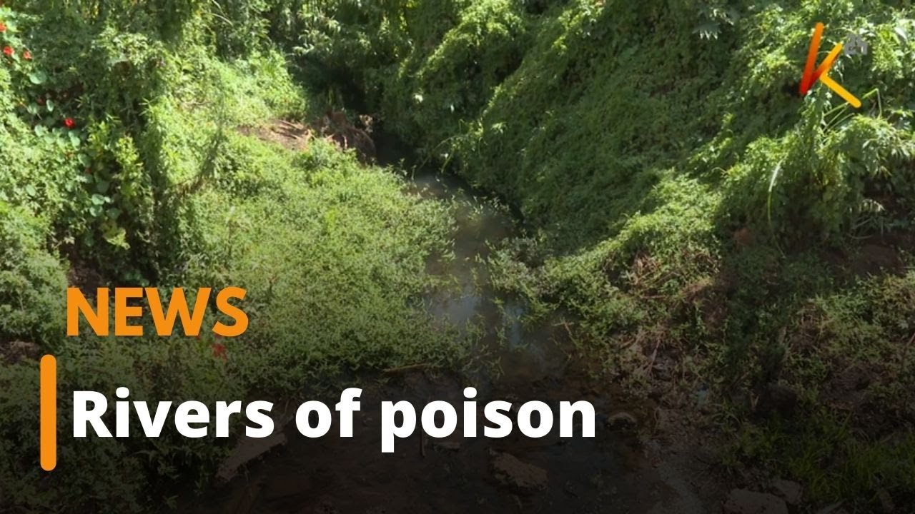 Four major rivers in Nairobi polluted for 75 years non stop