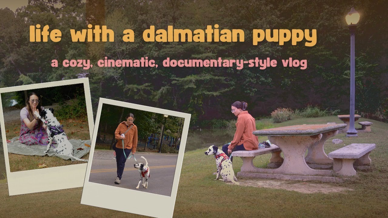 Life with a Dalmatian Puppy |  a cozy, cinematic, documentary-style vlog