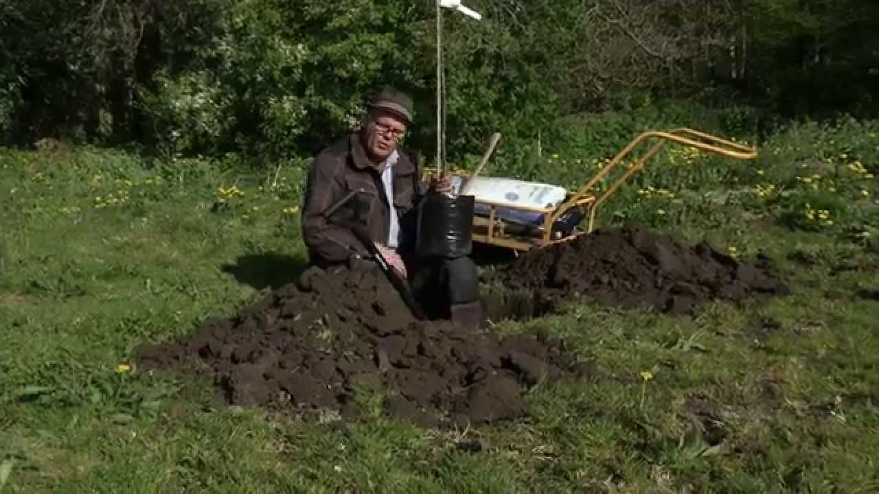 Bosse Rappne planterar plommonträd