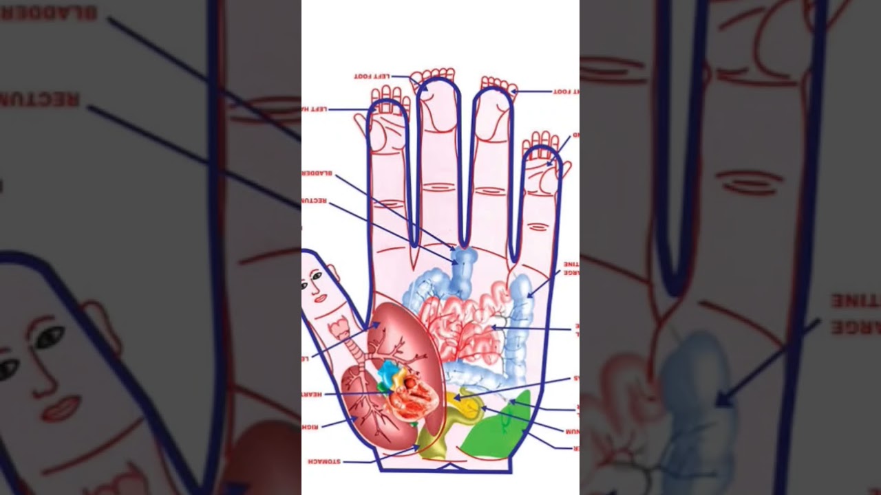 🌺 Sujok therapy is used specific points on hands and feet to treat the ailments #trending #short