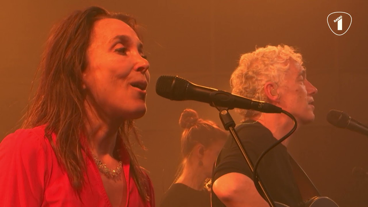 WESPEN OP DE APPELTAART - SPINVIS Live @ Radio 1 Sessie