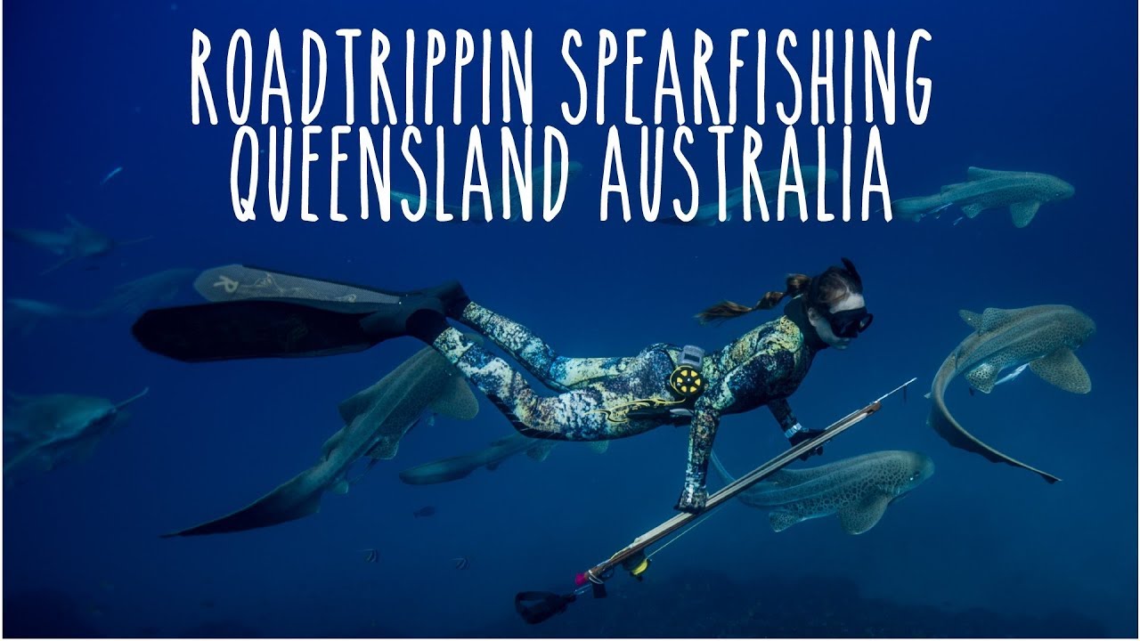 Spearfishing QLD Australia: Sharks + Cobia + Jacks + Jew + Marlin (Underwater Ally Adventures) Ep.16