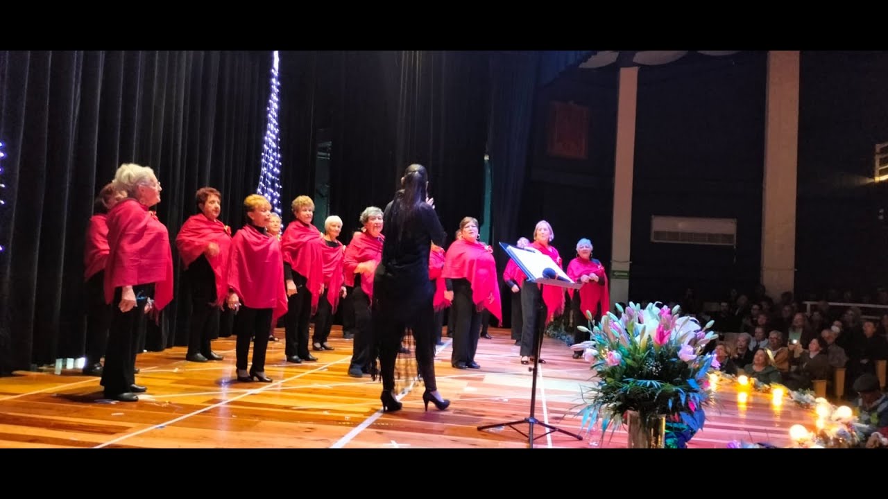 Concierto de Castañuelas con repertorio Español, Mexicano y Villancicos.