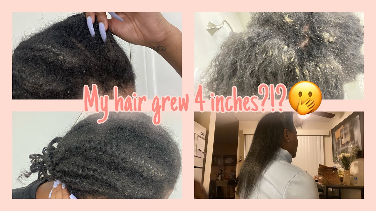 Taking Down My 5 Month Old Braids!! l Extreme New Growth + Styling/ Length Check!
