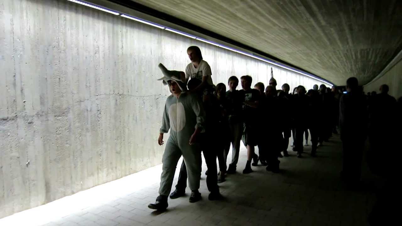 Assembly Summer 2012 -siikamarssi Pasilan tunnelissa