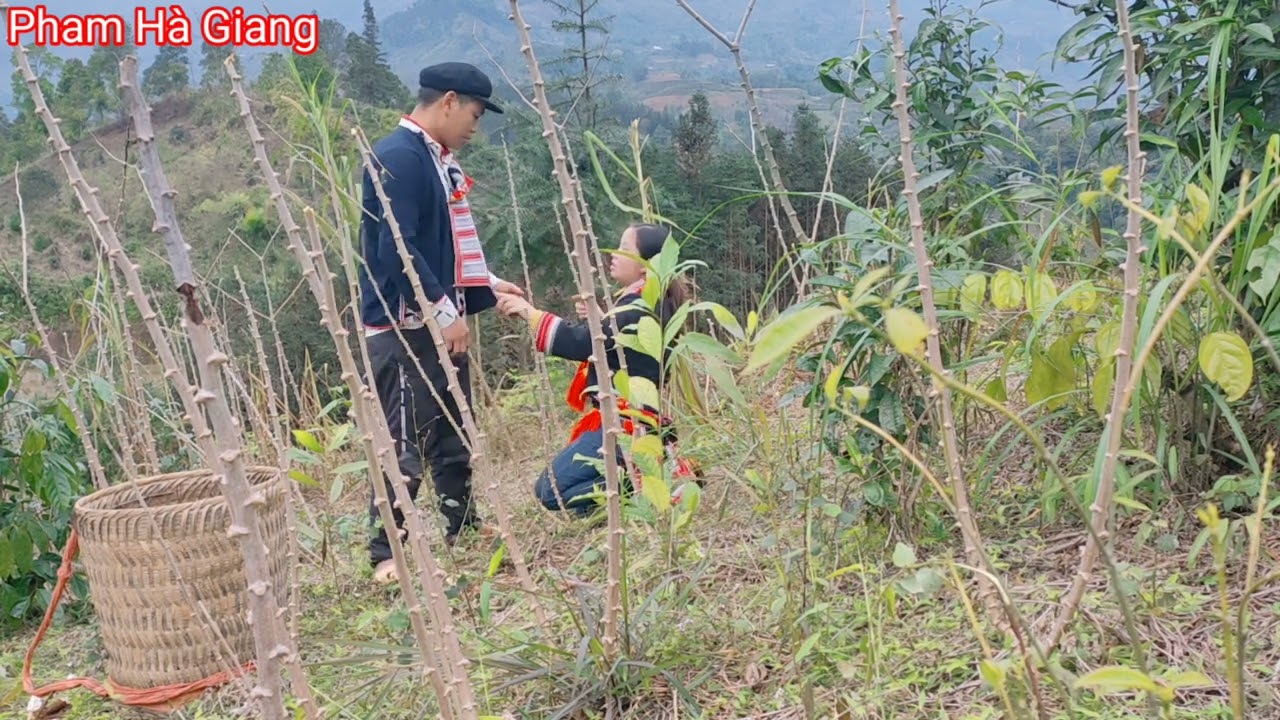 chồng vắng nhà vợ đi đào sắn người ta và cái kết bị bắt