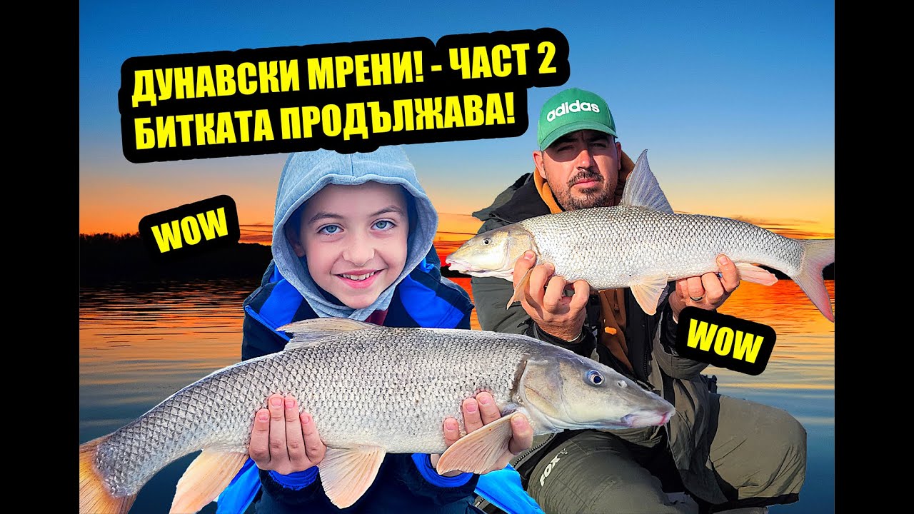 Дунавски мрени! - част 2. Битката продължава! Huge barbel fishing on Danube river!