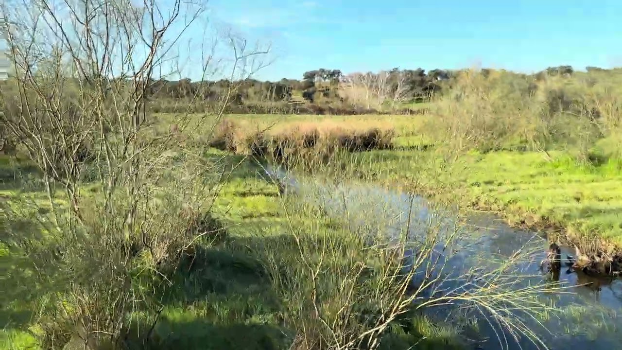El campo  es así 