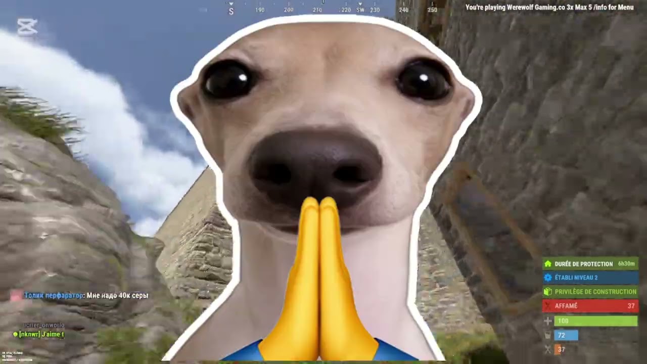 We need help