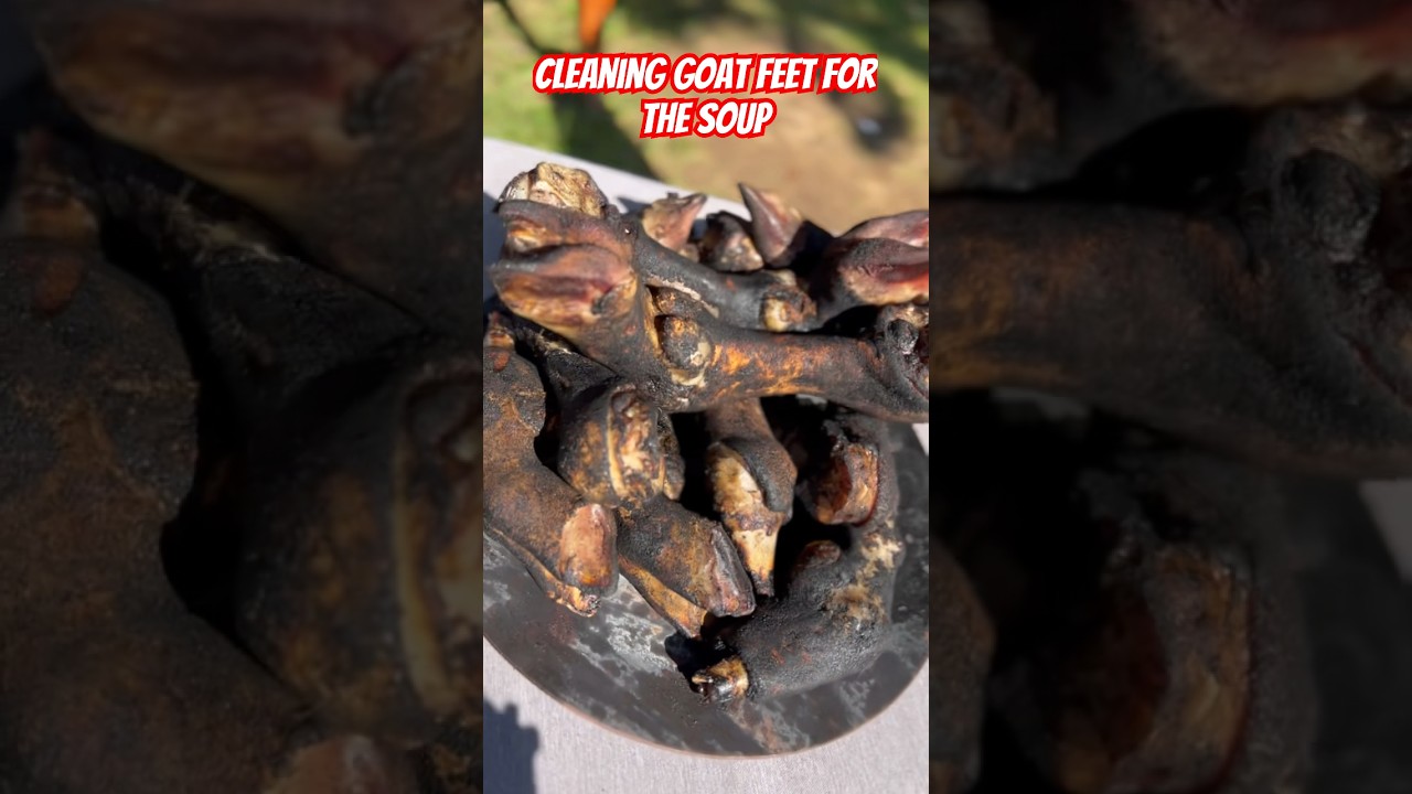 How to clean goat feet or how to burn goat feet for the mutton/goat bones soup preparation #goatsoup