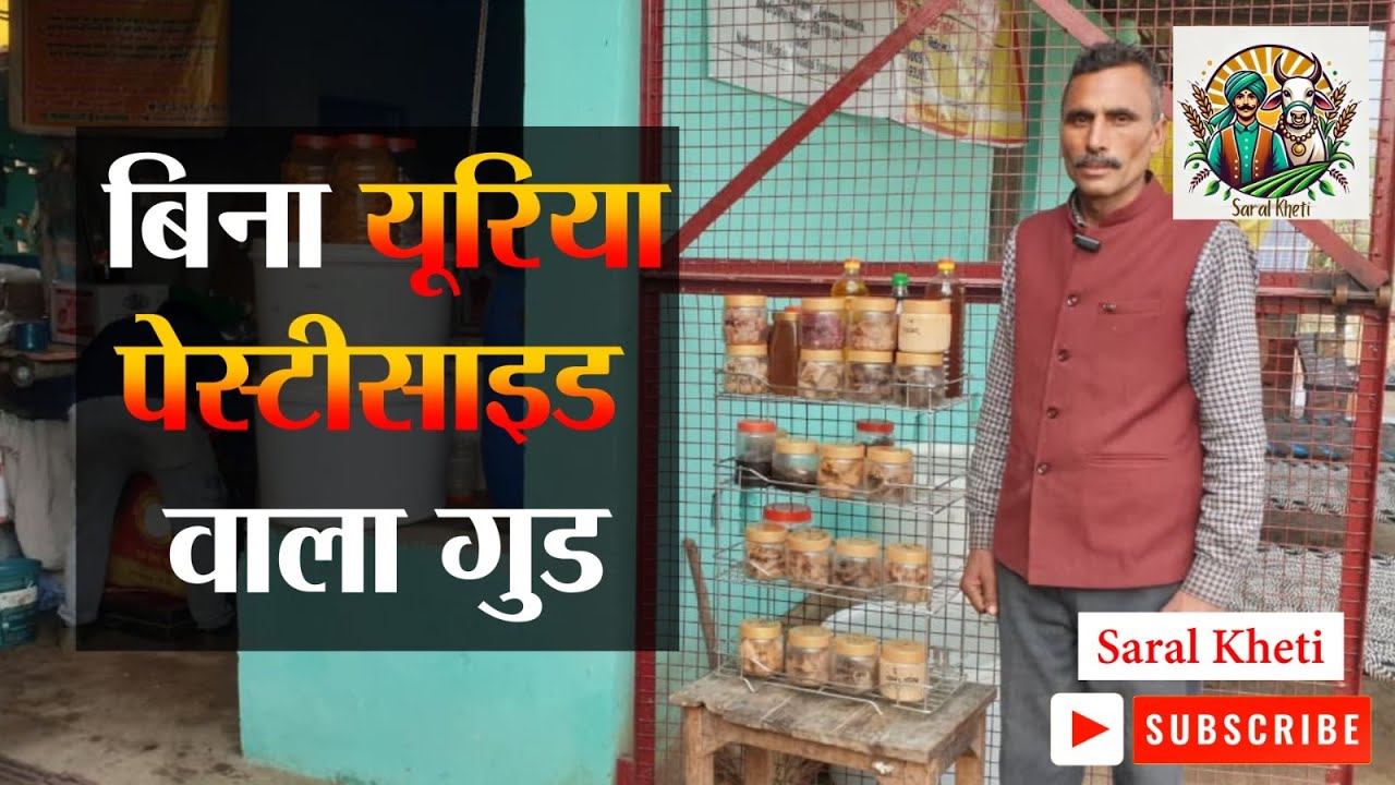 चुकंदर, गाजर, लौकी समेत 35 वैरायटी। मेरठ में तैयार हो रहा अनोखा जैविक गुड़ #saralkheti #meerut #up