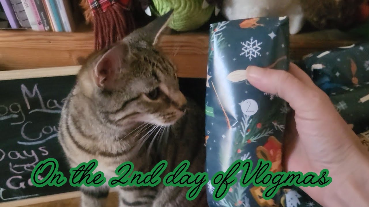 На 2-й день Влогмаса #vlogmas2025