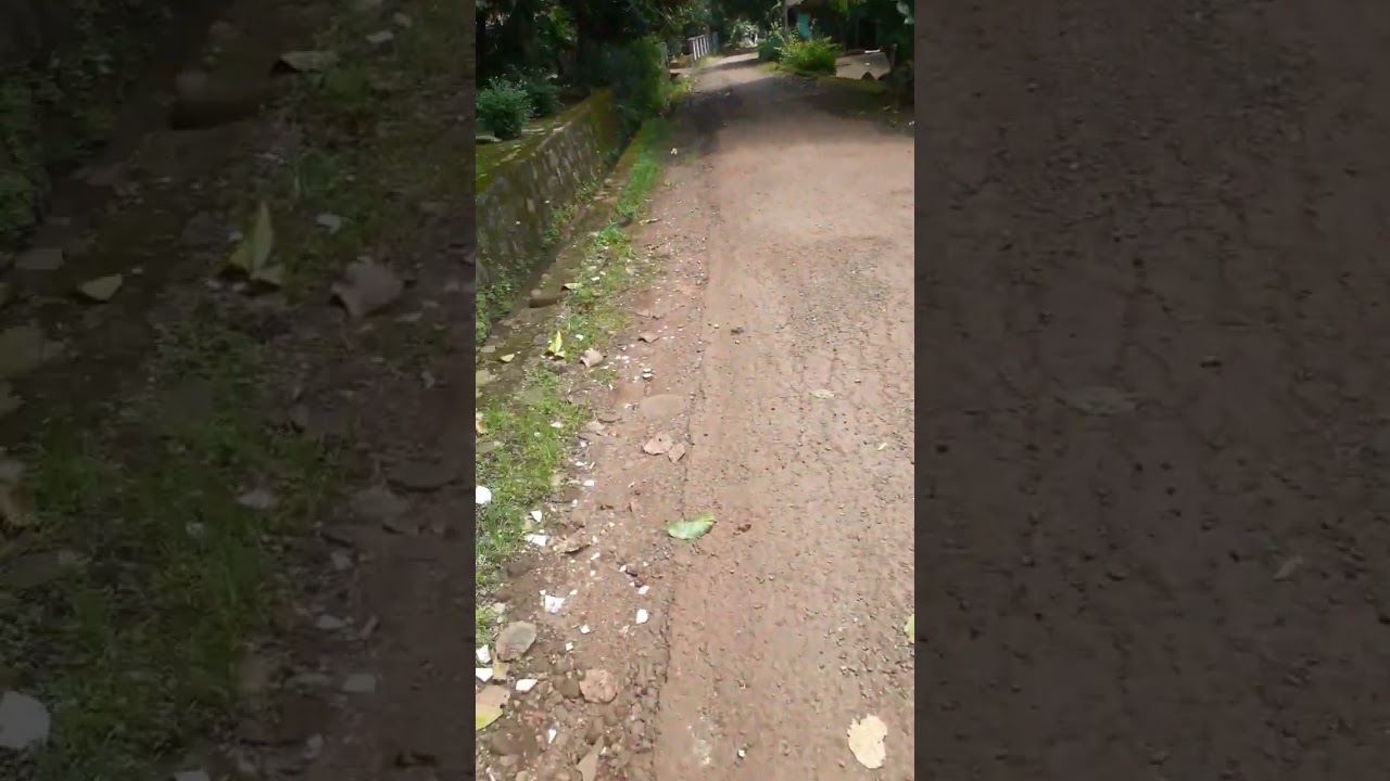 suasana pedesan di daerah subang