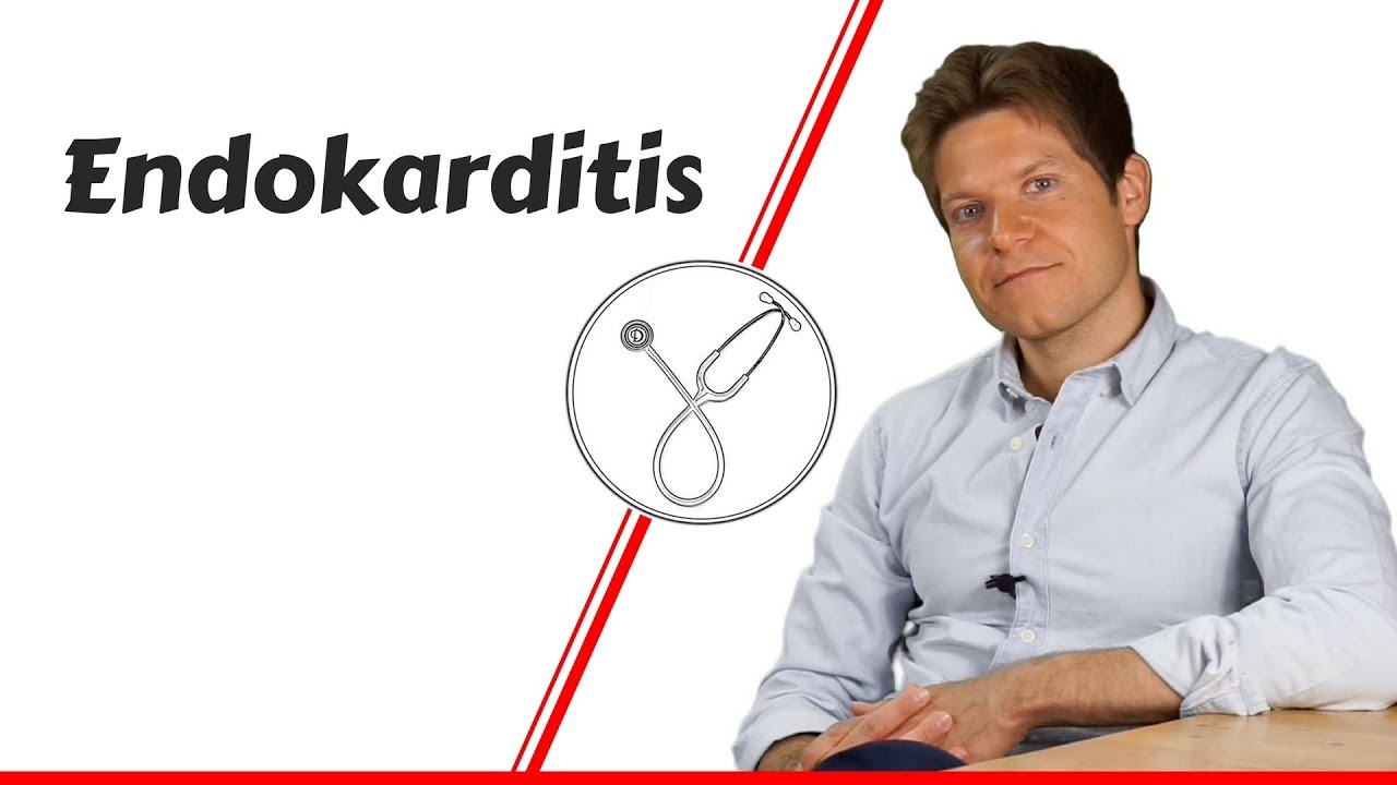 Was ist Endokarditis / Herzklappenentzündung?! Anzeichen, Behandlung und Prognose einfach erklärt!