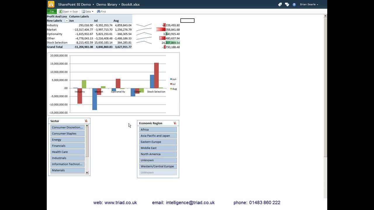 Excel Services and SharePoint 2010
