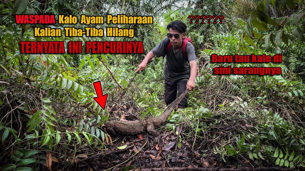 2 HARI PASANG PERANGKAP AKHIRNYA KETANGKAP JUGA PENCURINYA😅 #79 #bocahpecicilan