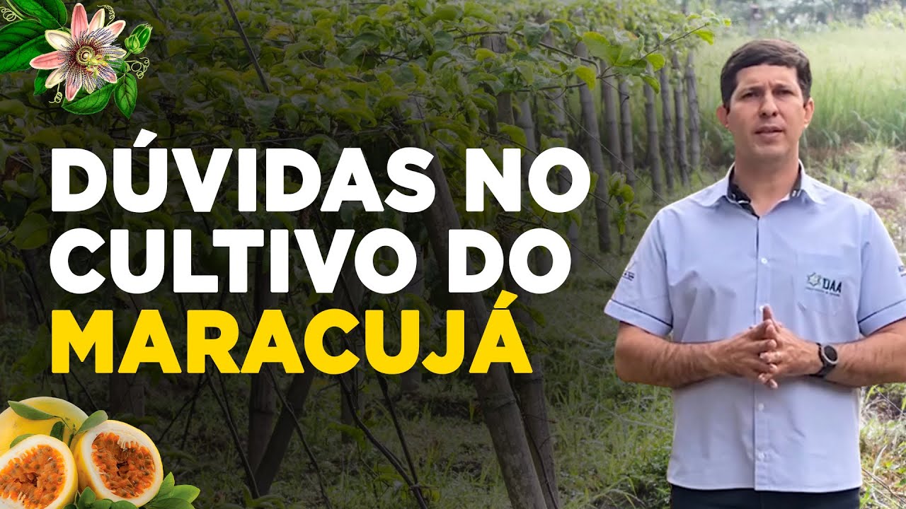 As Principais Dúvidas no Cultivo do Maracujá Respondidas!