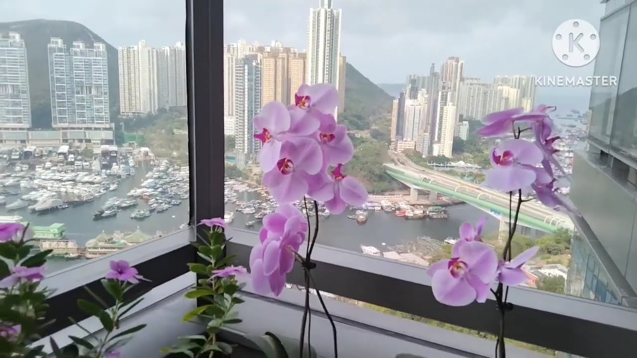 amazing view. Wednesday morning