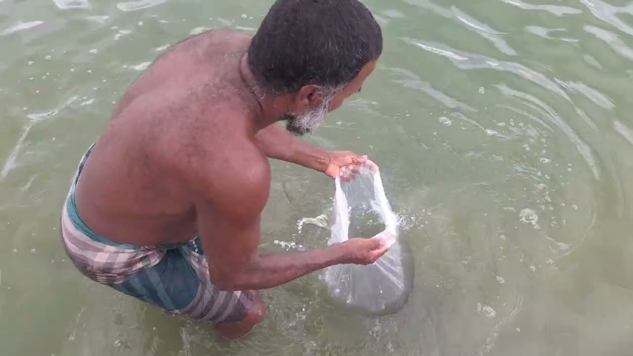 মাছের রেণু কিভাবে ছাড়া হয় দেখুন || সরাসরি পুকুর থেকে মাছ ছাড়ার ভিডিও || Tithi's Imagine World 2025