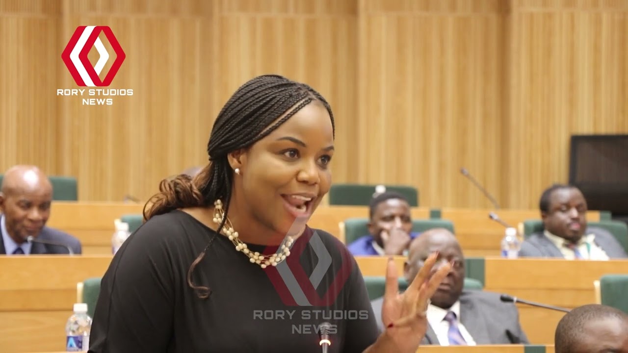 Fadzai Mahere fuming in Parliament over abductions
