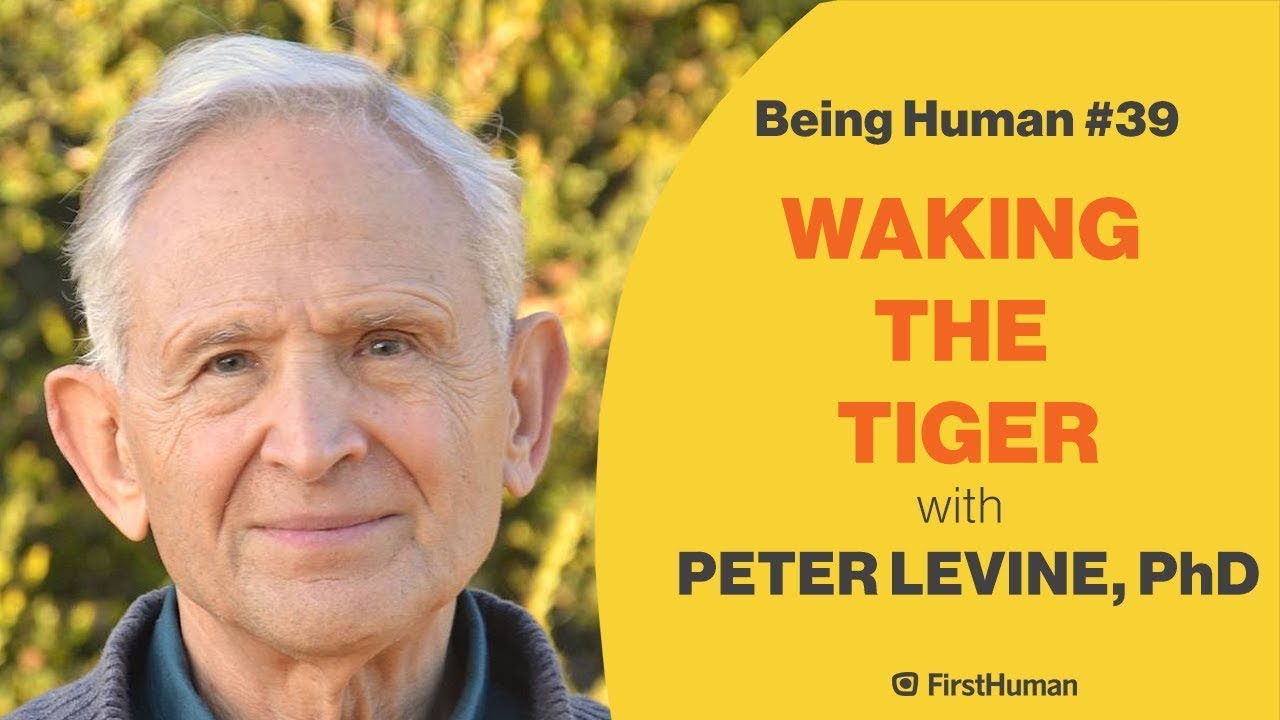 #39 WAKING THE TIGER - PETER LEVINE, PhD | Being Human