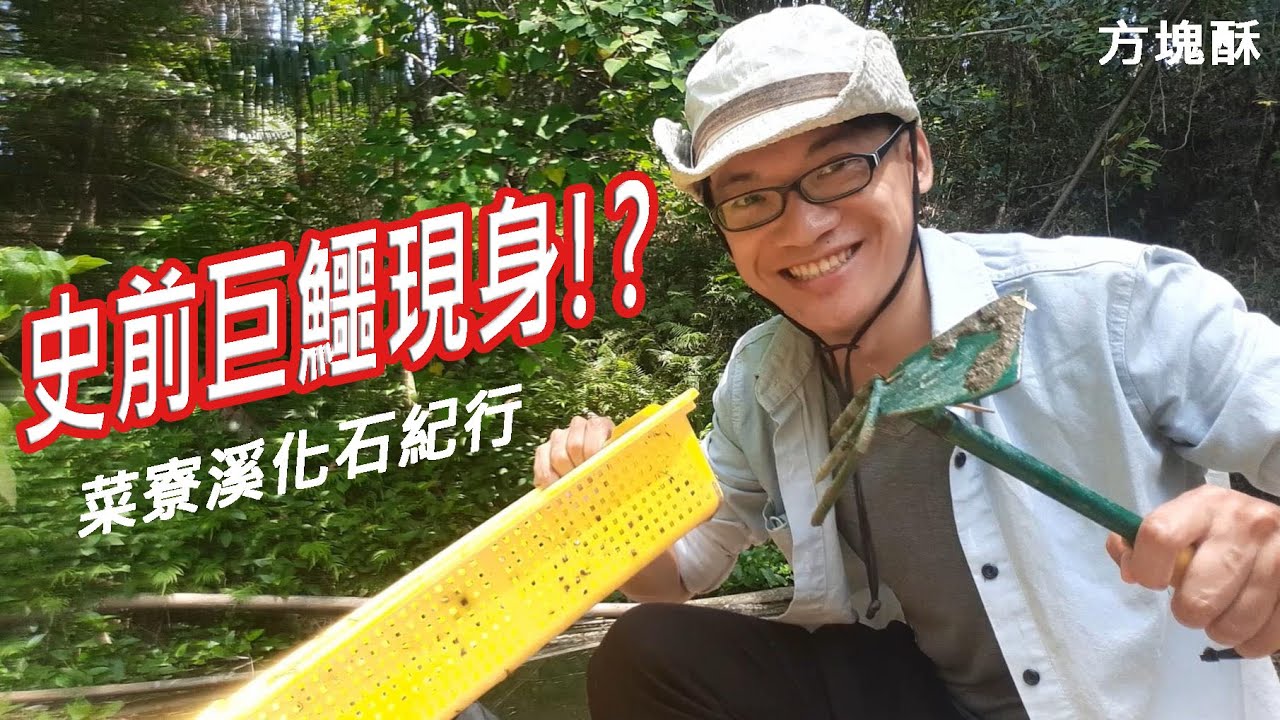 史前巨鱷現身!?菜寮溪化石紀行|方塊酥