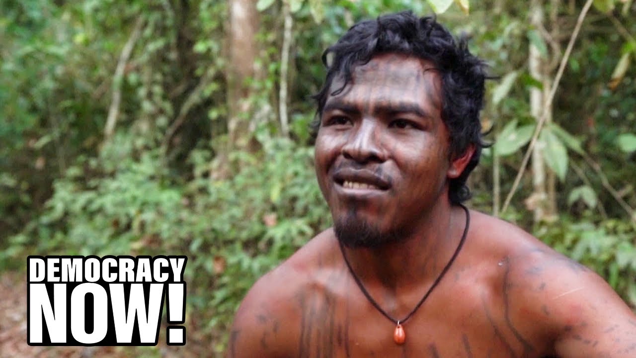 Emboldened by Bolsonaro, Illegal Loggers in Amazon Kill Indigenous Leader Paulo Paulino Guajajara