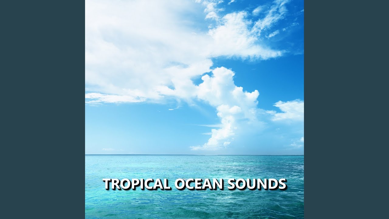 Calm Ocean Sounds