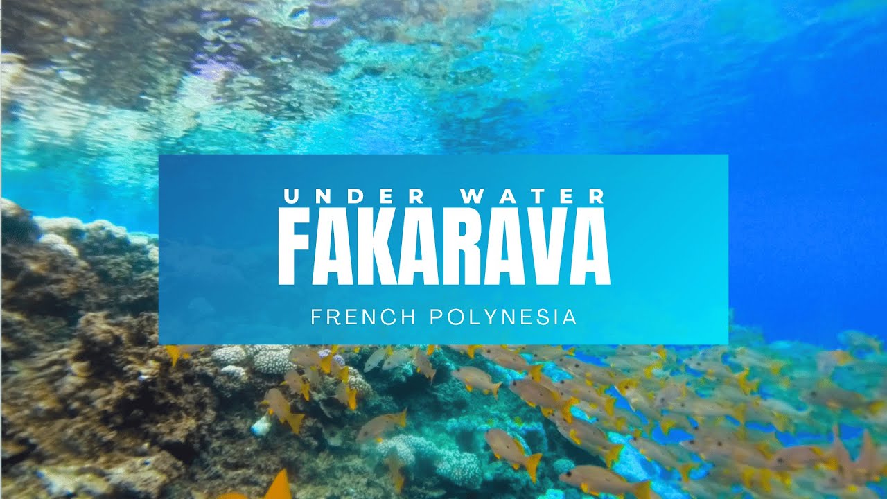 UNDERWATER AT FAKARAVA - AQUARIUM - 3min relax