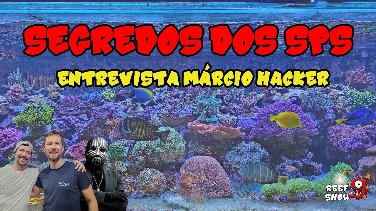 SAIBA TUDO sobre o AQUÁRIO da OCYAN REEF - Entrevista Márcio Hacker