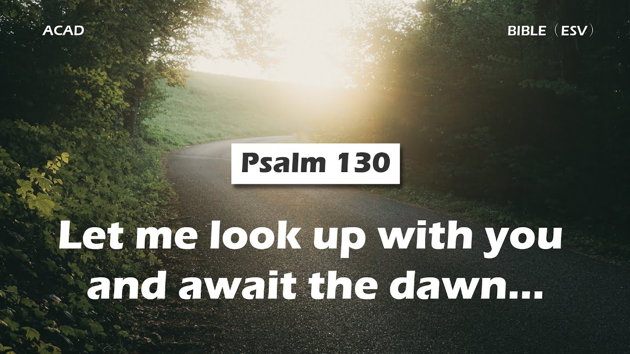 【 Psalm 130 】Let me look up with you and await the dawn&hellip; ｜ACAD Bible Reading