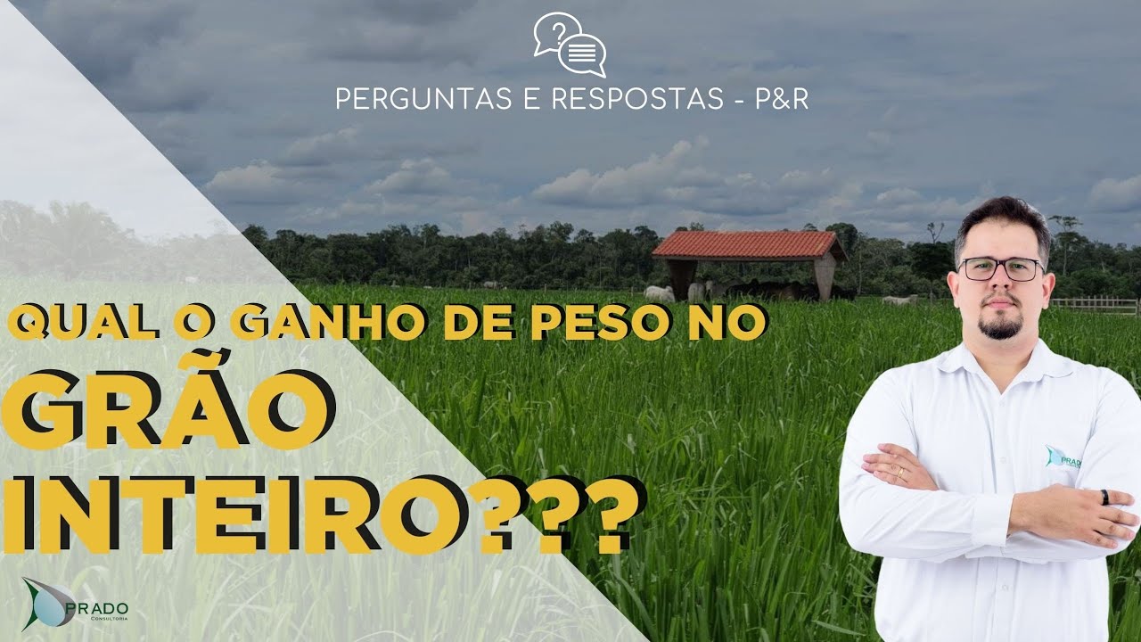 Qual ganho de peso em tratamento de grão inteiro?