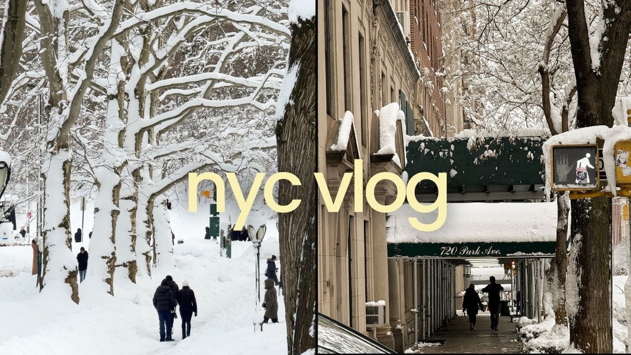 A snowy day in Central Park during the first NYC Blizzard in 10 years!