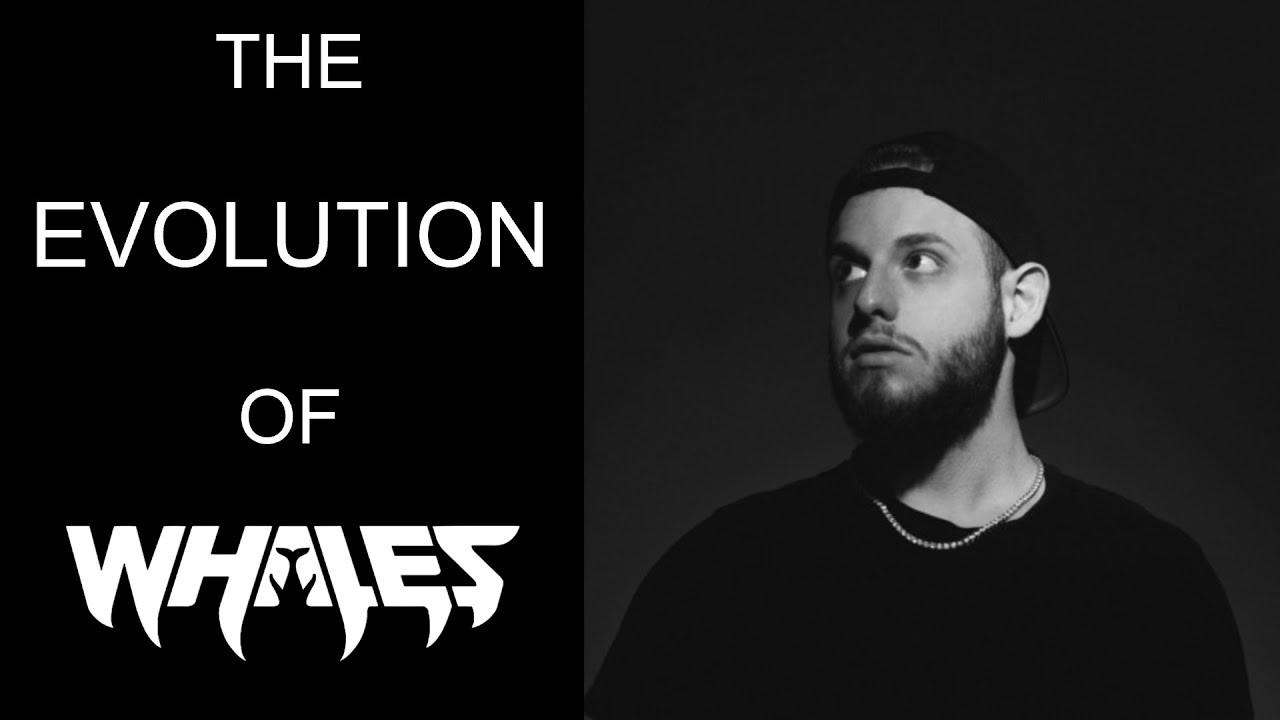 The Evolution Of Whales/Sex Whales (2014 - Present)
