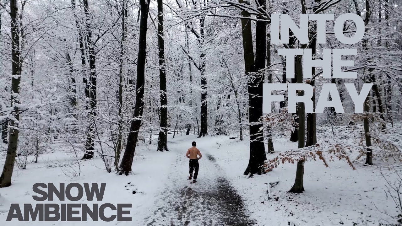 Cinematic Into the Fray - Snow Winter Forest Scenic Relaxation Ambience Film - The Grey Theme