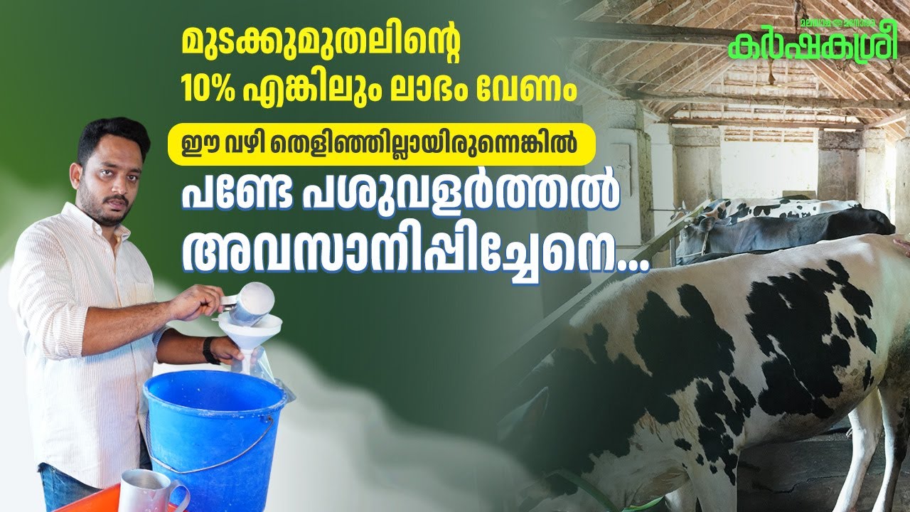 മുടക്കുമുതലിന്റെ 10% എങ്കിലും ലാഭം വേണം; ഈ വഴി തെളിഞ്ഞില്ലായിരുന്നെങ്കിൽ പണ്ടേ അവസാനിപ്പിച്ചേനെ