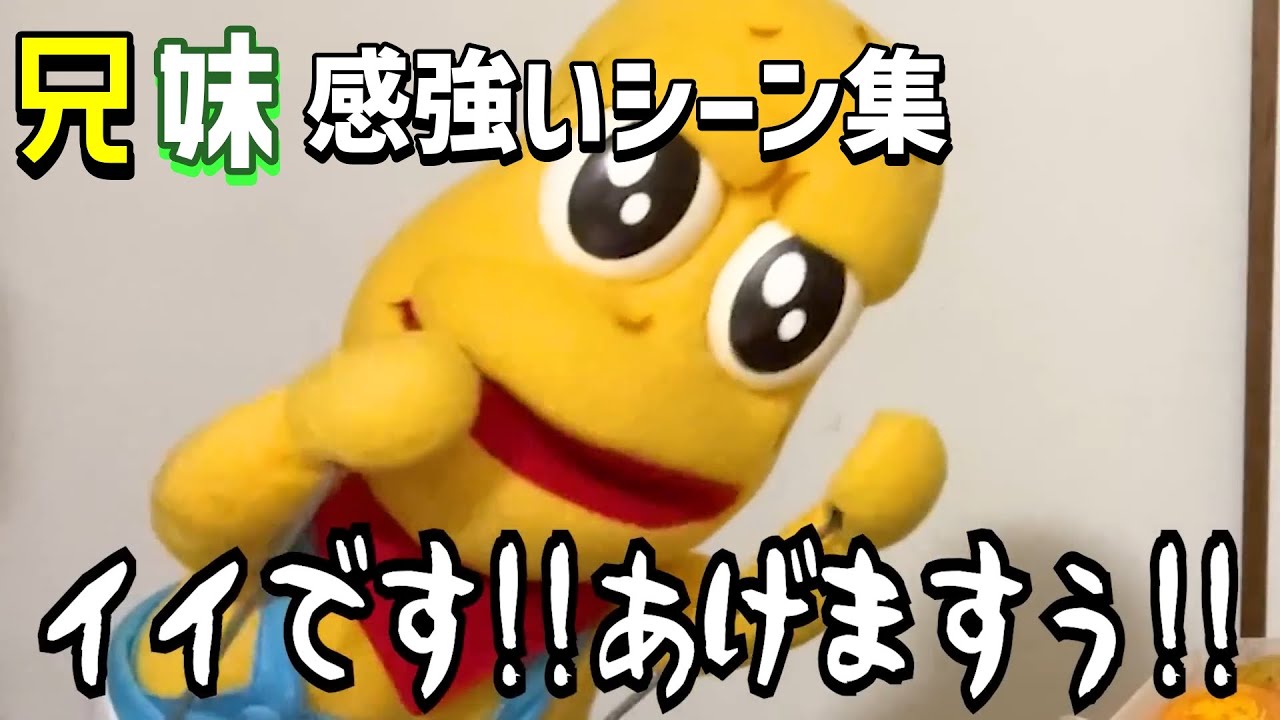 ぽこピーの兄妹感強いシーン集【#ぽこピー切り抜き】